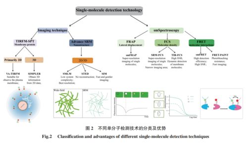 特约综述 单分子荧光检测技术的发展及其在植物生物学研究中的应用